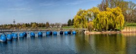 Phoca Thumb M Im Seepark Freiburg